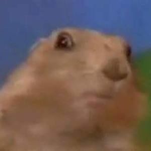 Meet your Posher, Tommy